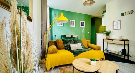 Cosy Louvel Superbe 2 pièces coeur de ville d’Angoulême