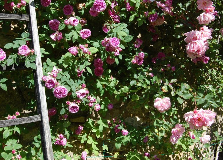 Jardins Secrets