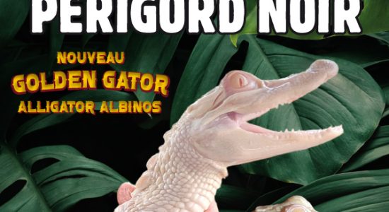 Aquarium du Périgord Noir (Le Plus grand d’Europe en eau douce) – Univerland Le Bugue