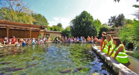 Aquarium du Périgord Noir (Le Plus grand d’Europe en eau douce) – Univerland Le Bugue