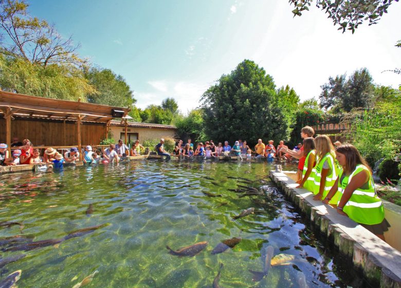 Aquarium du Périgord Noir (Le Plus grand d’Europe en eau douce) – Univerland Le Bugue