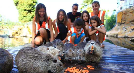 Aquarium du Périgord Noir (Le Plus grand d’Europe en eau douce) – Univerland Le Bugue
