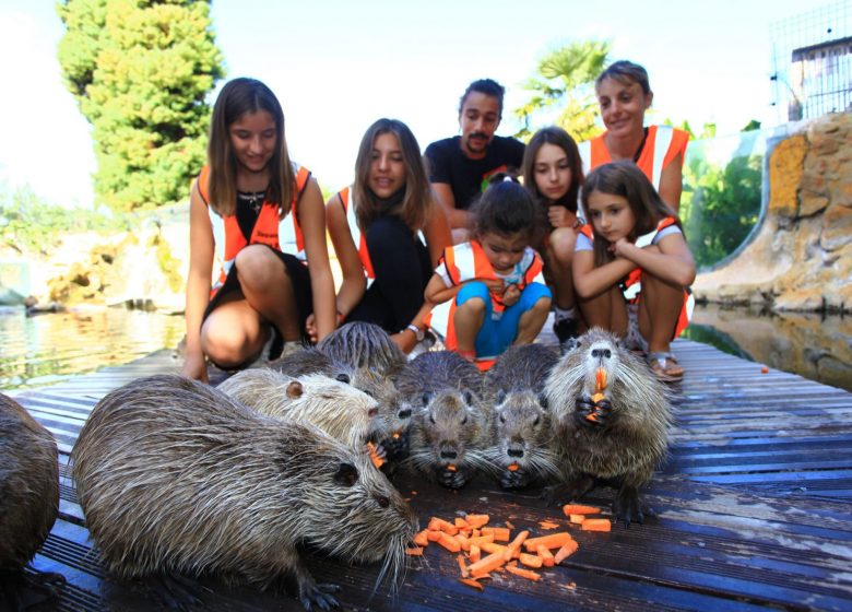 Aquarium du Périgord Noir (Le Plus grand d’Europe en eau douce) – Univerland Le Bugue