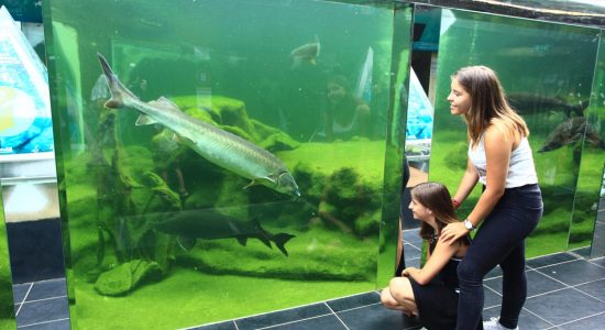 Aquarium du Périgord Noir (Le Plus grand d’Europe en eau douce) – Univerland Le Bugue