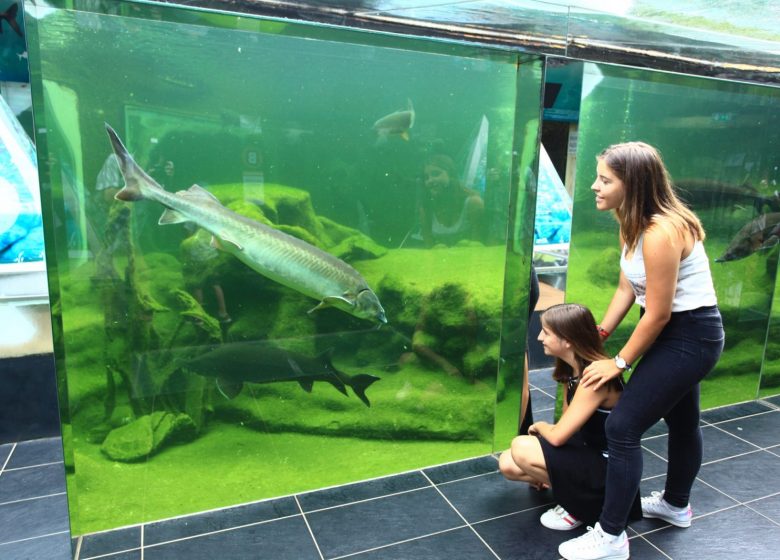 Aquarium du Périgord Noir (Le Plus grand d’Europe en eau douce) – Univerland Le Bugue