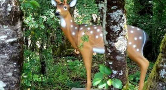 L’Arc d’Or – Parc de tir à l’arc 3D