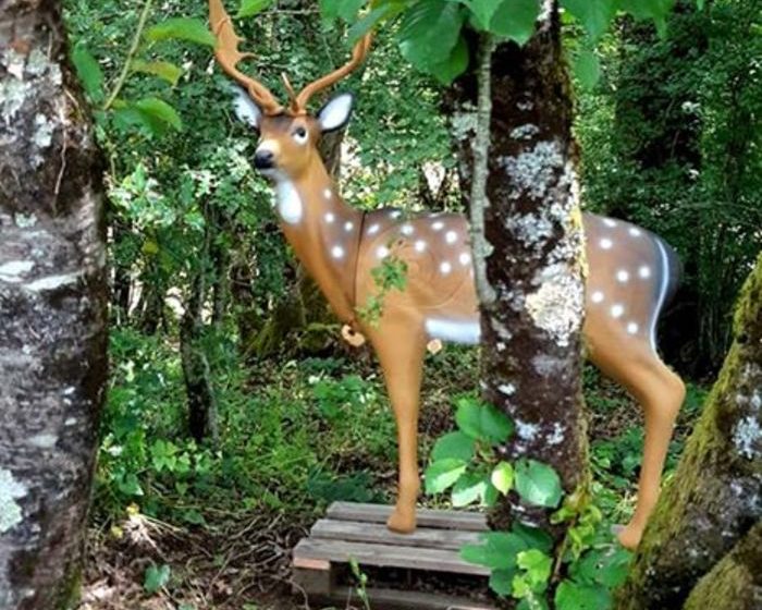 L’Arc d’Or – Parc de tir à l’arc 3D