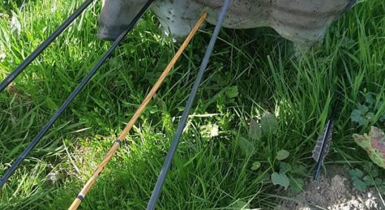 L’Arc d’Or – Parc de tir à l’arc 3D