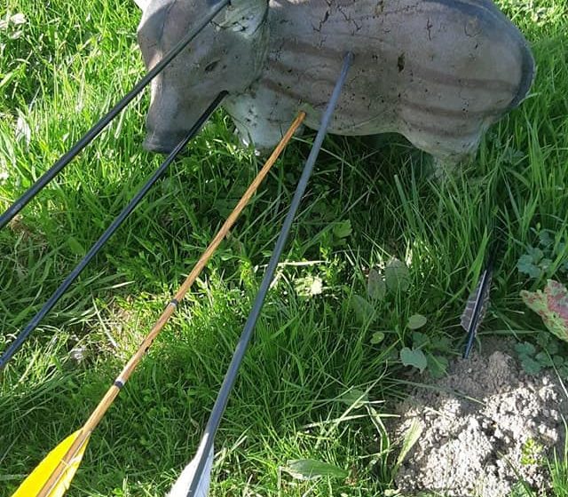 L’Arc d’Or – Parc de tir à l’arc 3D