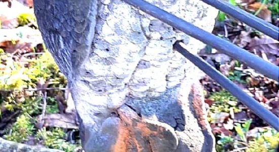 L’Arc d’Or – Parc de tir à l’arc 3D