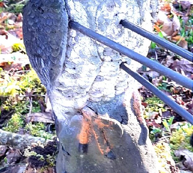 L’Arc d’Or – Parc de tir à l’arc 3D