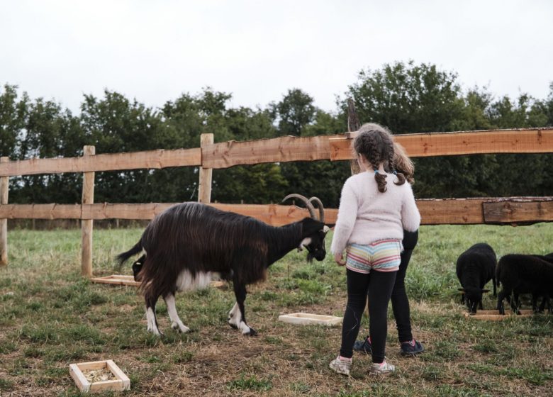 Cassinomagus Parc Archéologique