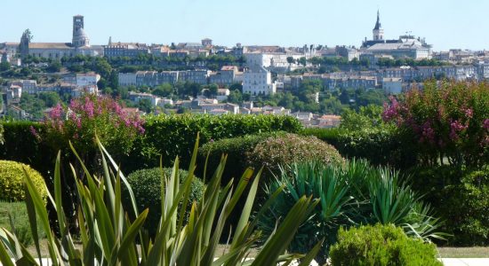 Champ Fleuri – Chambre Remparts