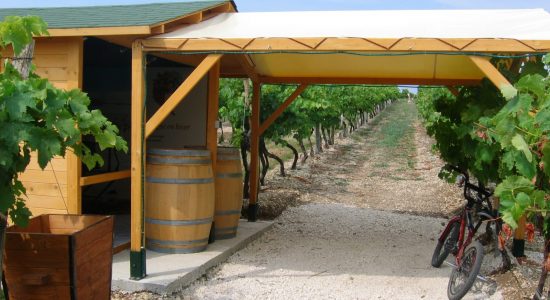 Le Cep Enchanté – Parc d’activités oenotouristiques