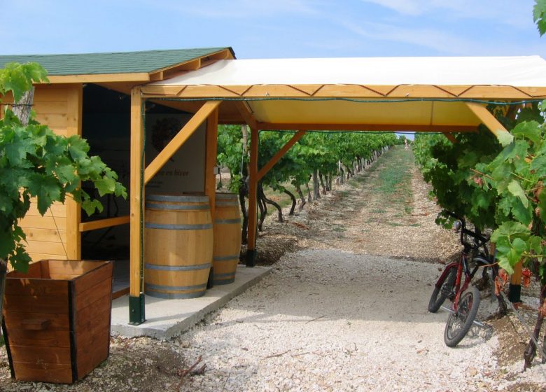 Le Cep Enchanté – Parc d’activités oenotouristiques