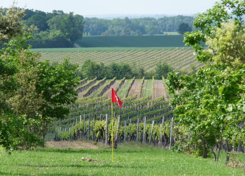 Le Cep Enchanté – Parc d’activités oenotouristiques