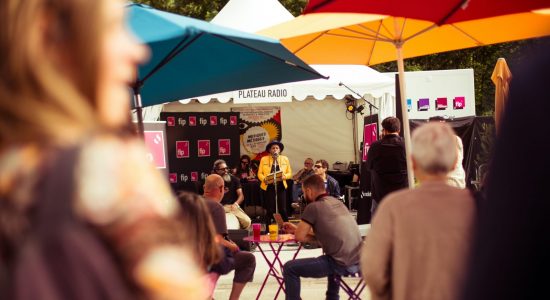 Festival Musiques Métisses