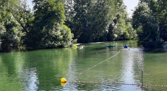 Baignade de Vindelle