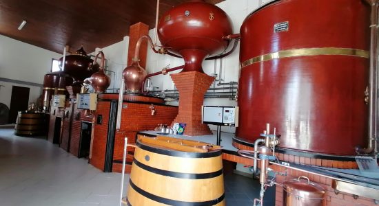 ABK6 Cognac