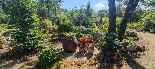 Visite guidée – Parfums d’Asie, un jardin extraordinaire