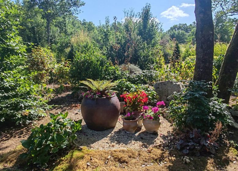 Visite guidée – Parfums d’Asie, un jardin extraordinaire