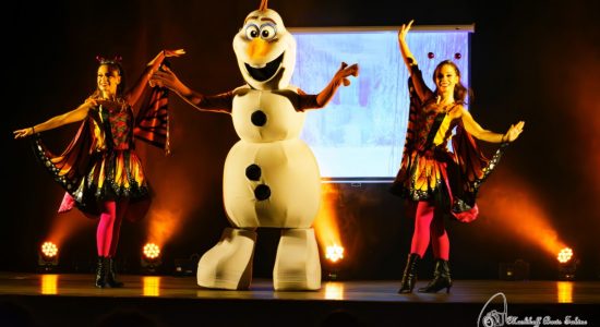 Fantasia, le spectacle !