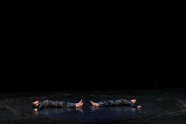 Spectacle – Viscum