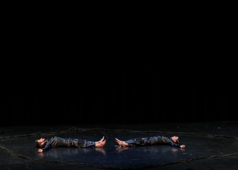 Spectacle – Viscum