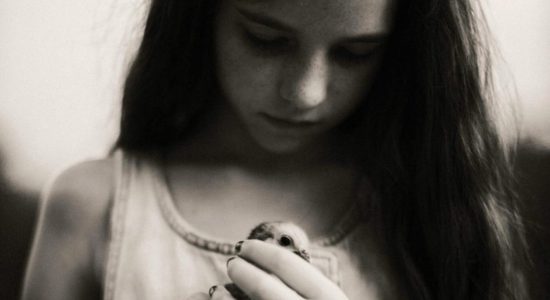 Festival la tête dans les nuages – Après le feu