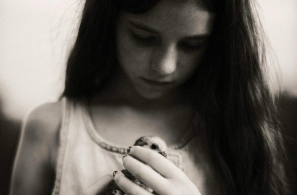 Festival la tête dans les nuages – Après le feu