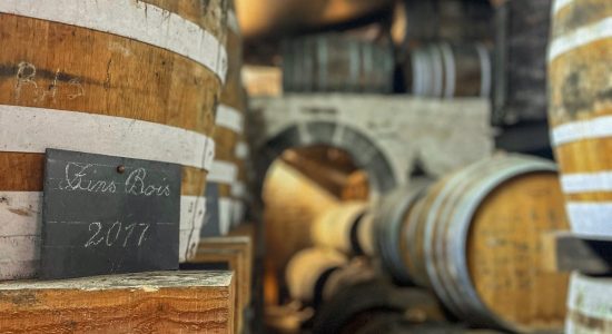 Distillerie les 1309