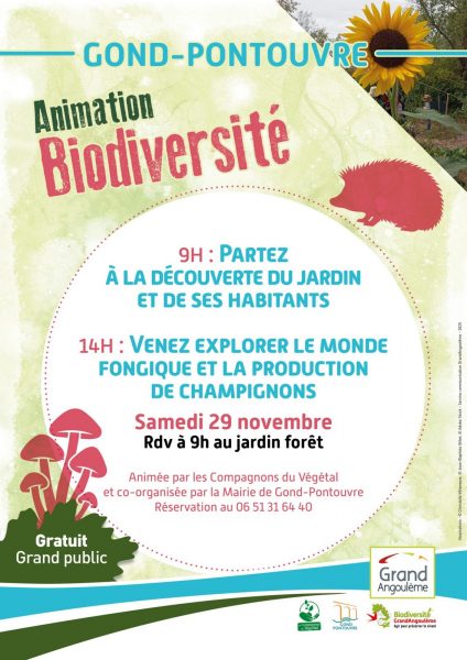 Animations biodiversités au Jardin Forêt