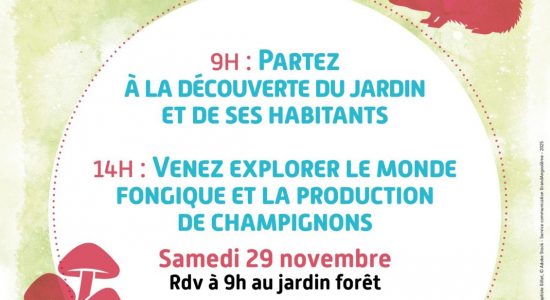 Animations biodiversités au Jardin Forêt