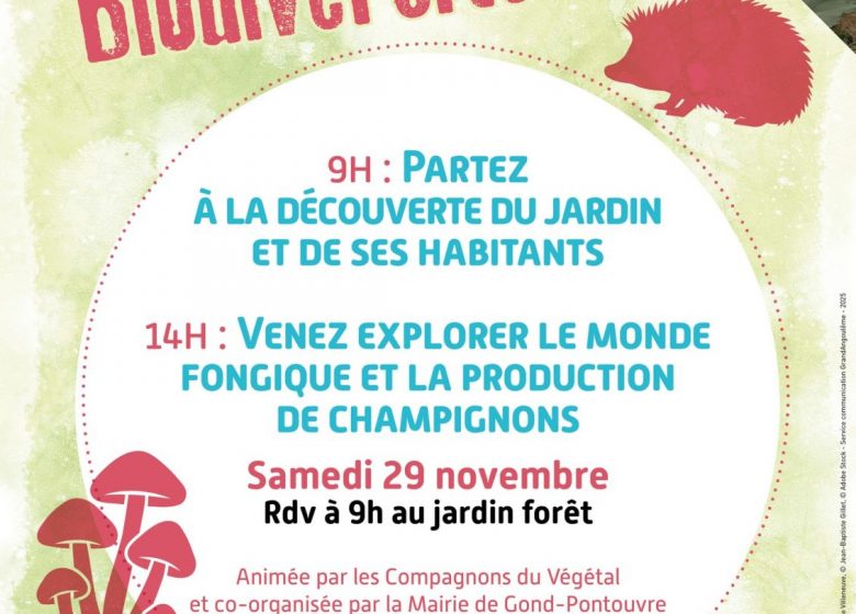 Animations biodiversités au Jardin Forêt