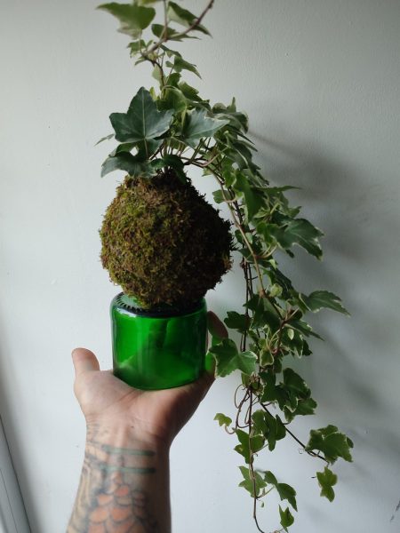 Moi/s local – Création d’un kokédama avec Cut by Bastien