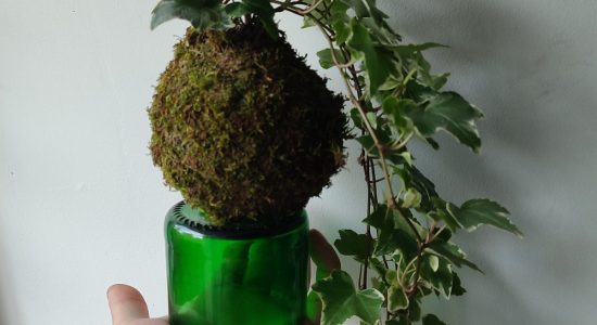 Moi/s local – Création d’un kokédama avec Cut by Bastien