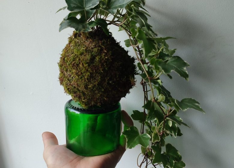 Moi/s local – Création d’un kokédama avec Cut by Bastien