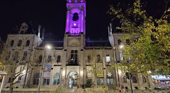 Visite guidée nocturne au château