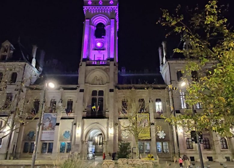 Visite guidée nocturne au château