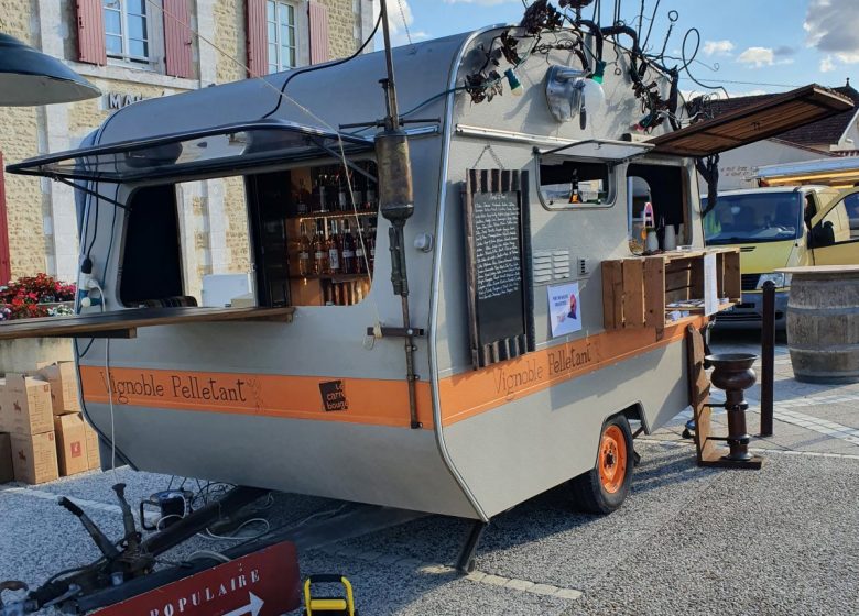 Domaine de la Chevalerie – Vignoble Pelletant