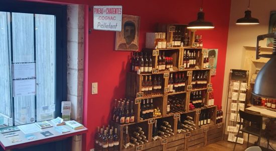 Domaine de la Chevalerie – Vignoble Pelletant