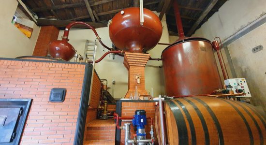 Domaine de la Chevalerie – Vignoble Pelletant