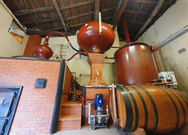 Domaine de la Chevalerie – Vignoble Pelletant