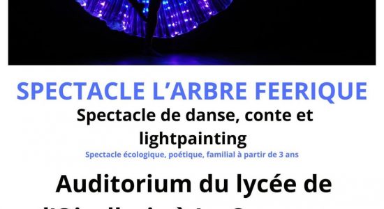 Spectacle de Noël – L’arbre féerique