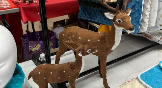 Marché de Noël de Puymoyen