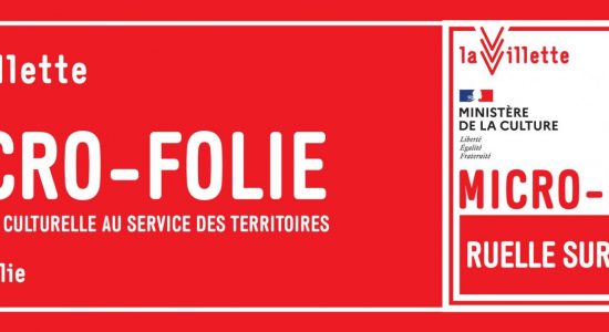 Micro Folie # Création d’animaux en boîte à oeuf