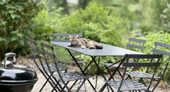 La Maison des Aulnes – Ile de Malvy