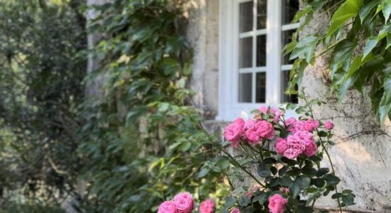 La Maison des Aulnes – Ile de Malvy