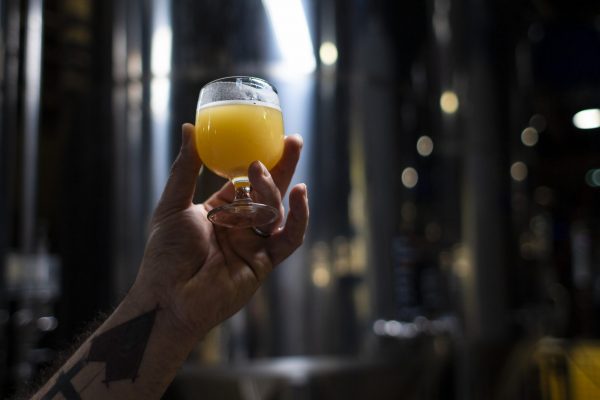 Visite de la brasserie La Débauche