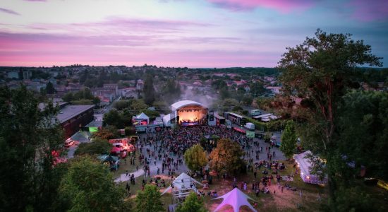 Festival Musiques Métisses